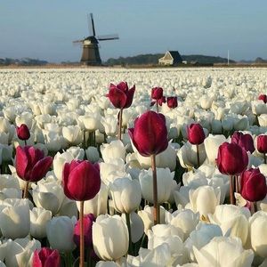 Meet your Posher, Jay